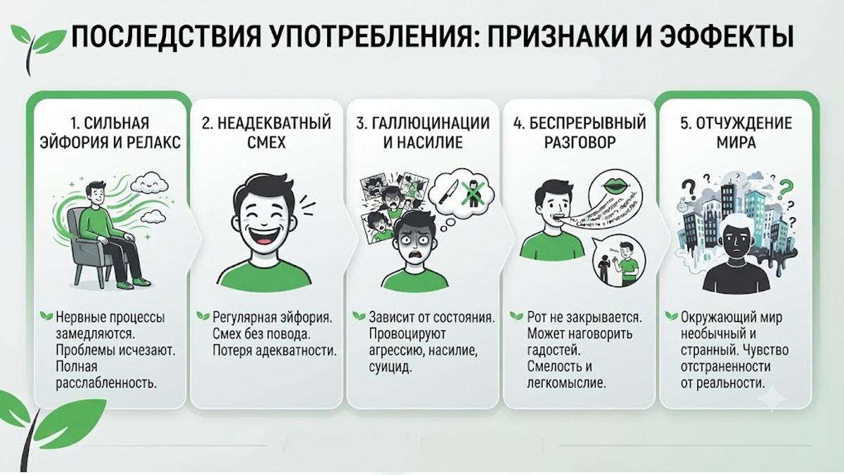 Инфографика о признаках и эффектах последствий употребления веществ.